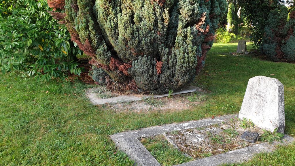 Fotografías del estado de la división 160 del cementerio de Pantin en París.