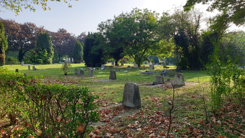 Fotografías del estado de la división 160 del cementerio de Pantin en París, donde está enterrado Ricardo.